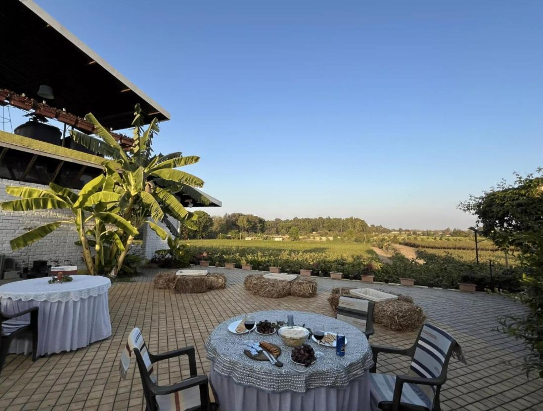 Saffronstays Onellaa, Nashik - Infinity Pool Villa Surrounded By A Vineyard エクステリア 写真